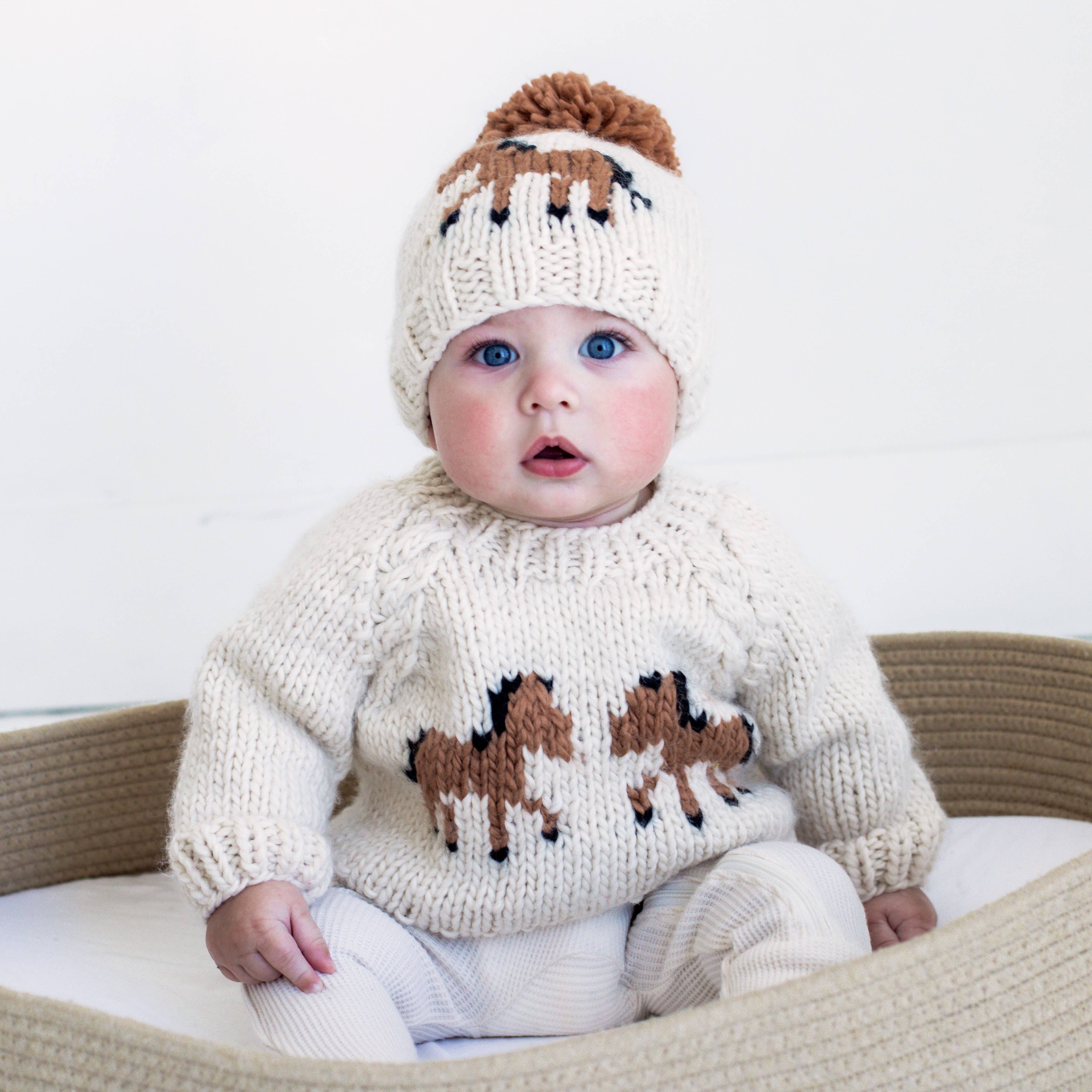 Horse Baby Sweater
