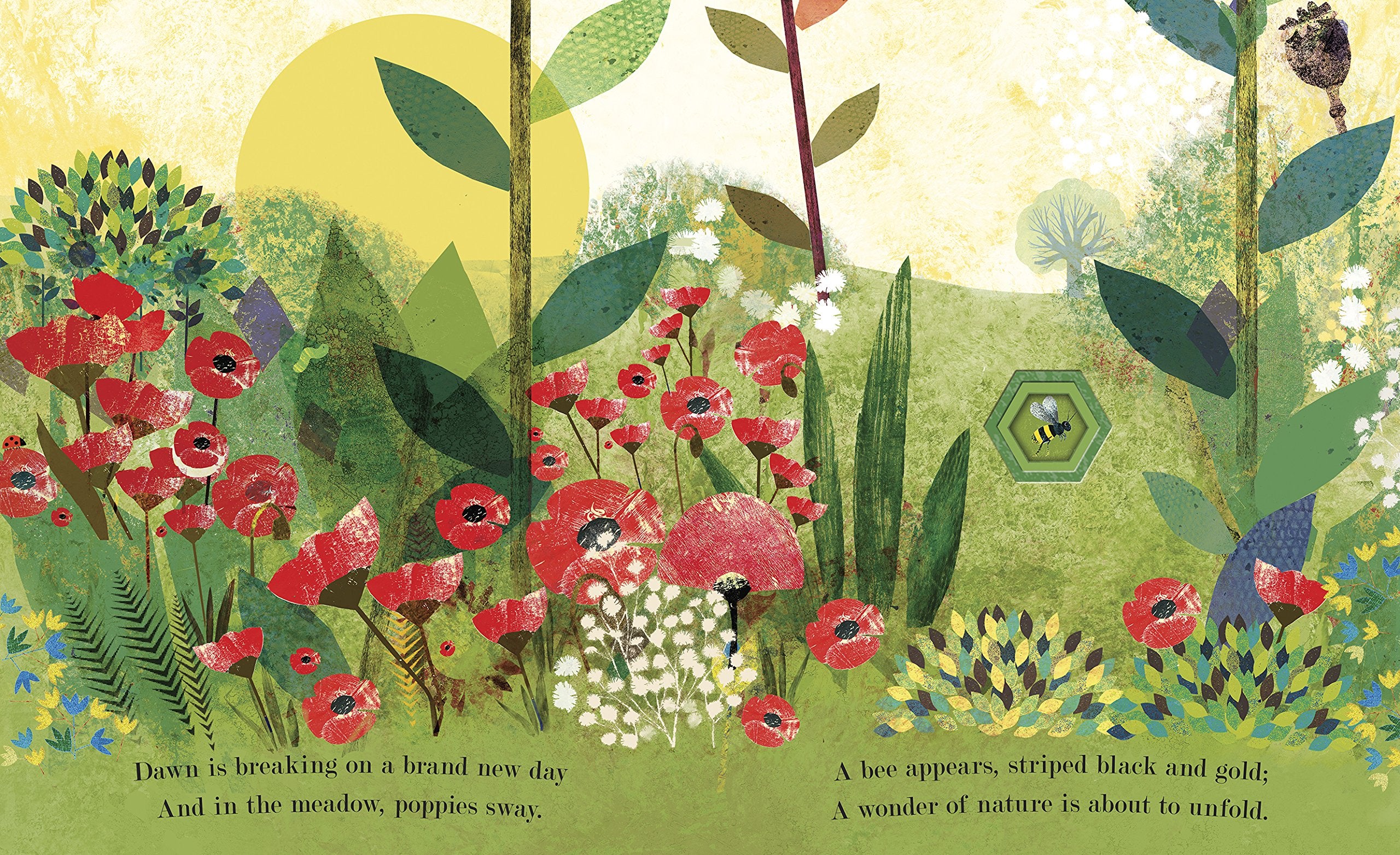 Bee - A Peek-through Picture Book