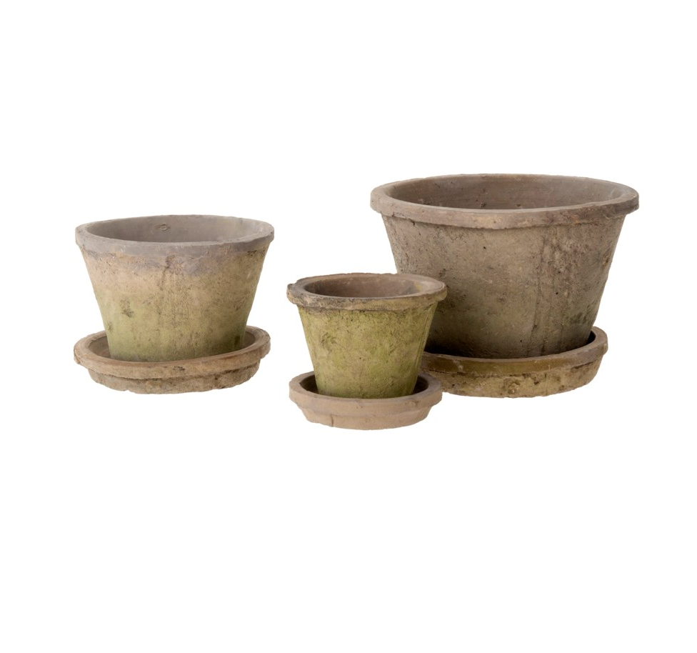 Aged Clay Cactus Pot + Saucer- Antique Blackstone